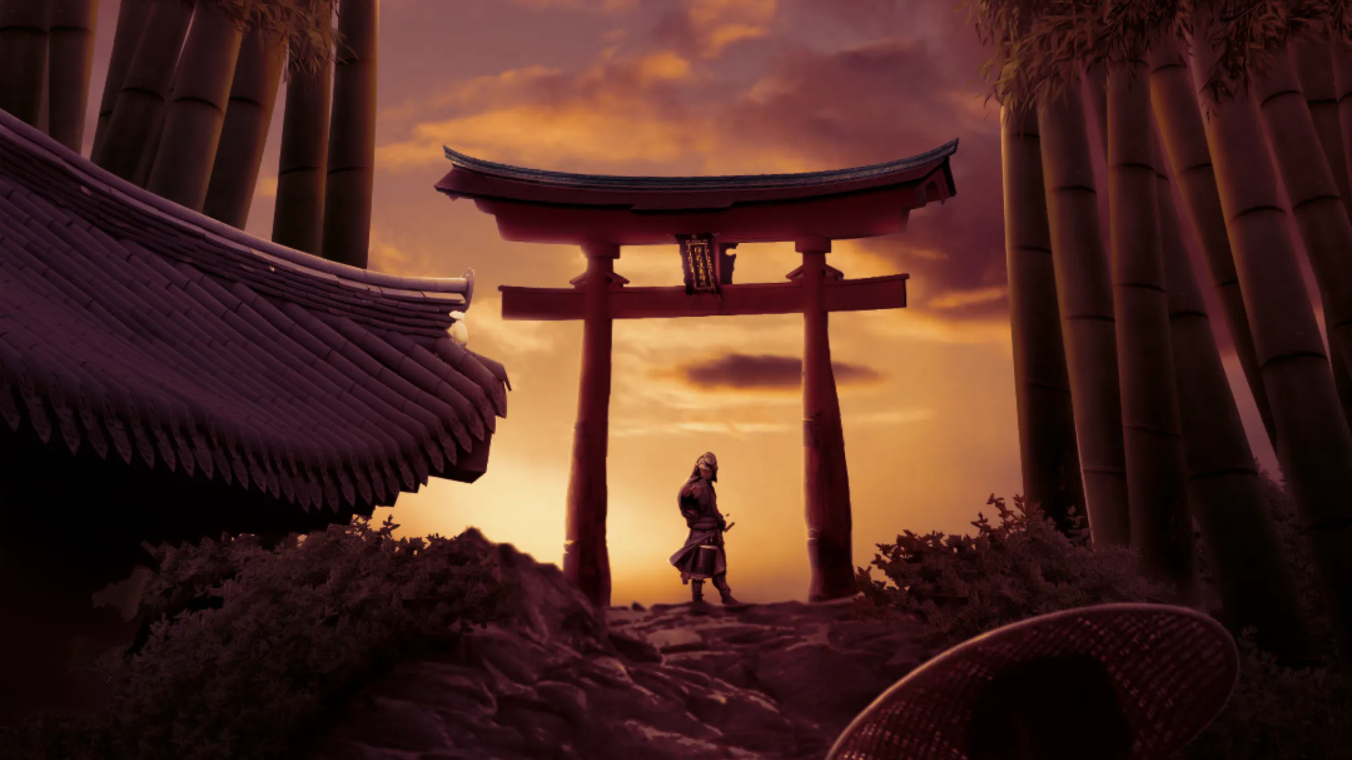 Digital Imaging Artist | Ninja Assassin